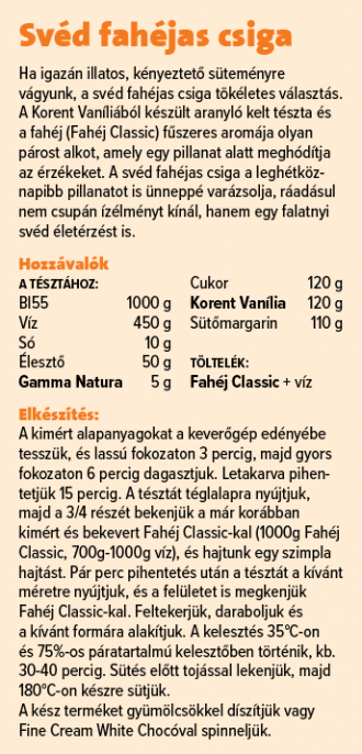 Svéd fahéjas csiga_1271