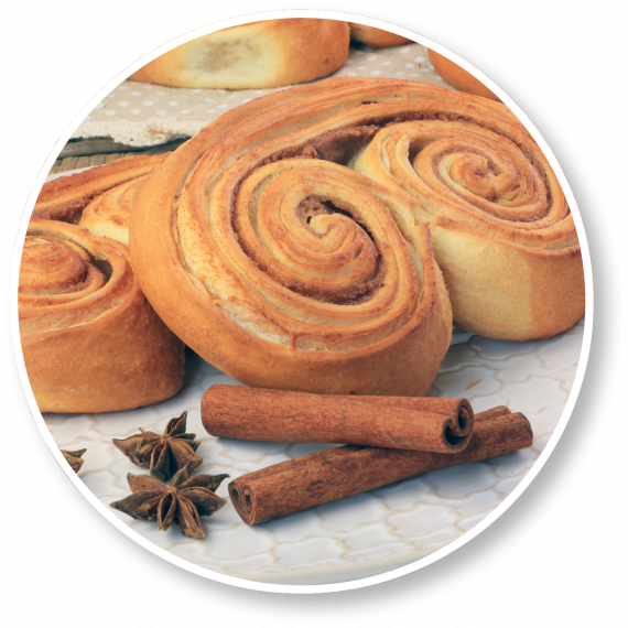 Csiga kavalkád_2548