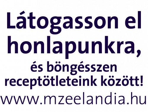 z4_Itt talál minket_1266