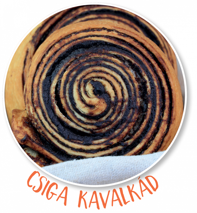 Csiga kavalkád_2547