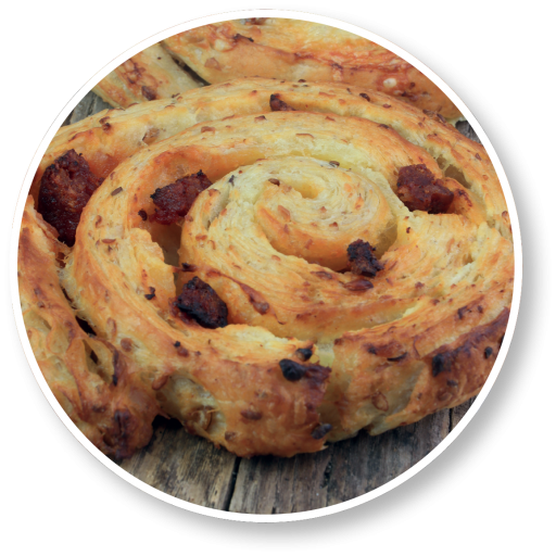 Csiga kavalkád_2549