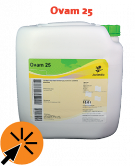 90 éves a Carlo sub_479