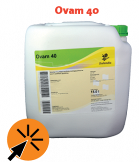 90 éves a Carlo sub_480