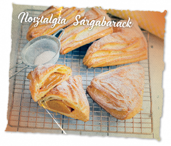 Masterclass sub ősz_4820