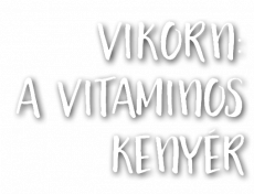 2020 tavasz–nyár_2352